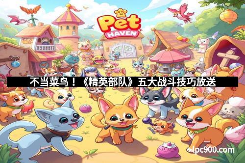 不当菜鸟！《精英部队》五大战斗技巧放送